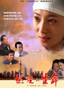 中文字幕日韩专区精品系列