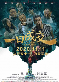 精品视频在线播放